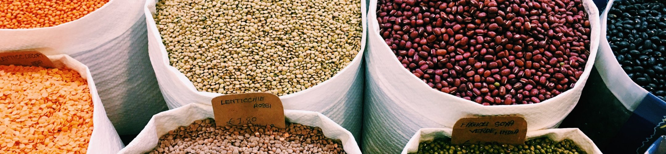 Second SusCrop Expert Workshop focuses on biotic and abiotic stresses and nutritional
      quality of crops: report